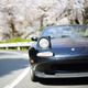 Image for article titled The Very Best Jalopnik Stories Of 2015
